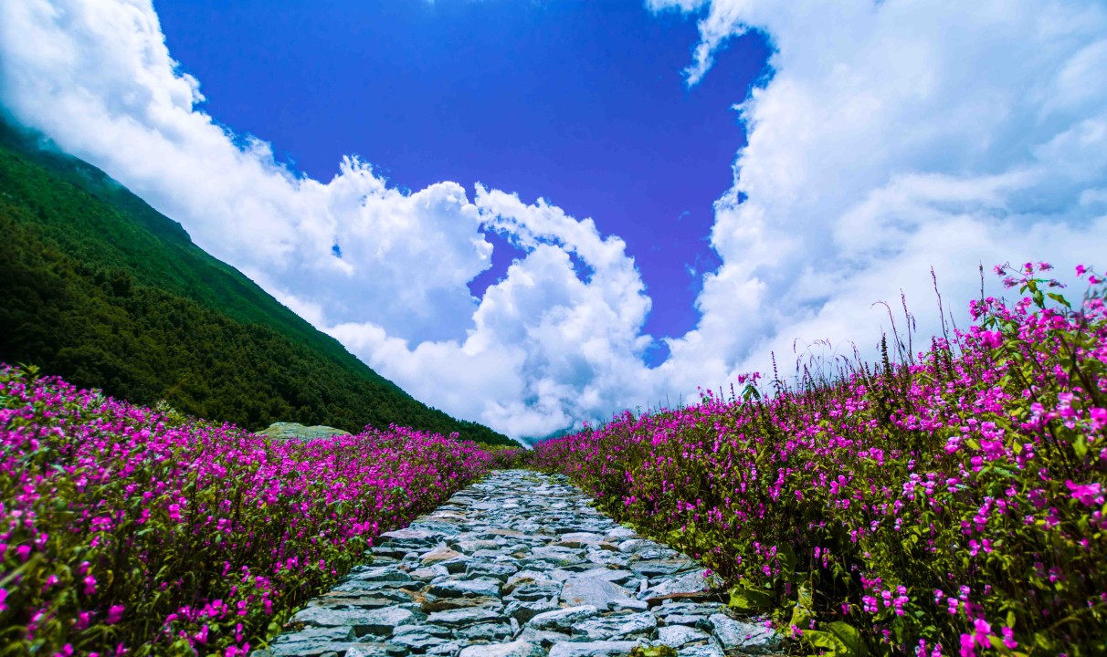 Valley of Flowers & Hemkund Divine Journey Tour Package